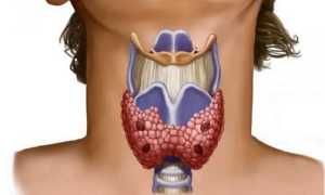 ТТГ при беременности