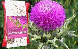 Расторопша для печени–полная инструкция по применению