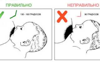 Правила прикладывания ребенка к груди для кормления, как сделать все правильно