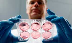 ТОП-7 самых эффективных способов зачатия и рождения мальчика