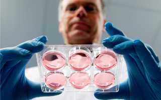 ТОП-7 самых эффективных способов зачатия и рождения мальчика