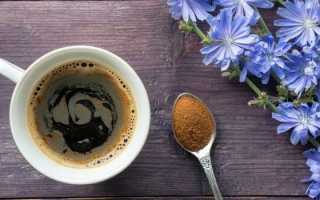 Цикорий – польза и вред, применение в народной медицине