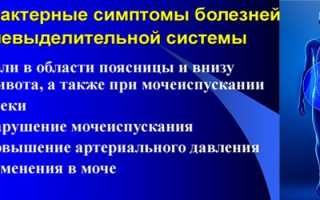 Темная моча — причины у женщин, мужчин и детей