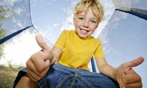 Как выбрать батут