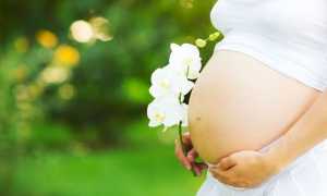 Советы мамам по воспитанию