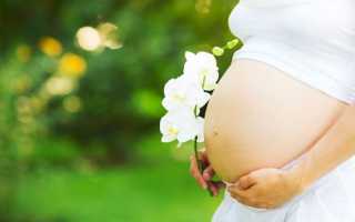 Советы мамам по воспитанию