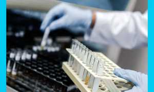 ЭКО бесплатно по ОМС в 2020 году: как получить квоту