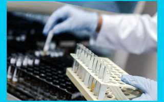 ЭКО бесплатно по ОМС в 2020 году: как получить квоту