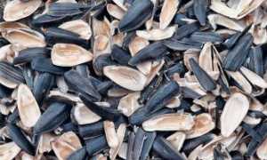 Причины аппендицита у детей и взрослых — первые симптомы