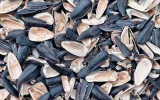 Причины аппендицита у детей и взрослых — первые симптомы