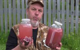 Все, что нужно знать о спиртовой настойке пантов алтайского марала