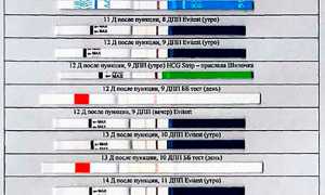 Когда уже можно делать тест после переноса эмбрионов