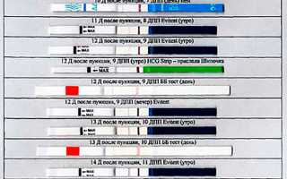 Когда уже можно делать тест после переноса эмбрионов