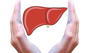 Эссенциале при беременности