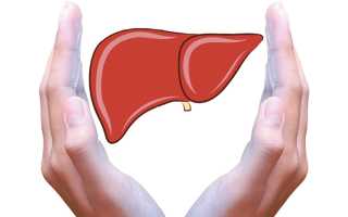 Эссенциале при беременности