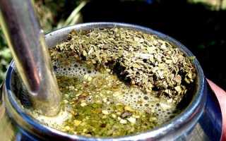 Чай Матэ–что это такое и чем полезен. Обзор экзотического напитка