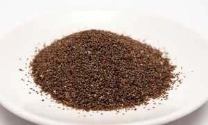 Подорожник — лечебные свойства и противопоказания