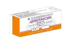 Цефотаксим – инструкция по применению препарата