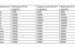 Биохимическая беременность — причины, признаки и уровень ХГЧ