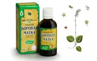 Боровая матка при полипах матки: противопоказания и способ применения