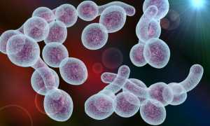 Особенности лечения молочницы у девственниц