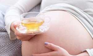 Ромашка при беременности