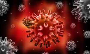 Герпес на губах при беременности