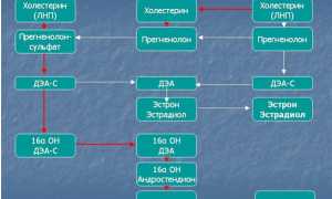 Беременность и гормоны: за чем нужно внимательно следить