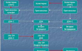 Беременность и гормоны: за чем нужно внимательно следить