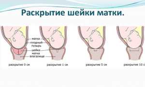 О каких предвестниках родов стоит помнить первородящим, советы специалистов