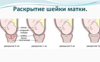 О каких предвестниках родов стоит помнить первородящим, советы специалистов