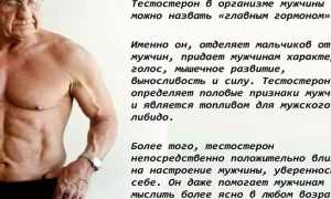 Продукты для повышения тестостерона у мужчин — список самых эффективных напитков, орехов, семечек и масел