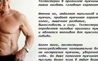 Продукты для повышения тестостерона у мужчин — список самых эффективных напитков, орехов, семечек и масел