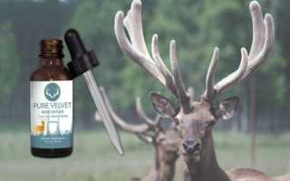 Пантовое масло–что это такое, чем полезно, для чего и как применяют