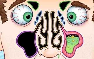 Сопли при гайморите — цвет и характер выделений