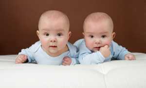 Чем отличаются дети ЭКО от обычных?