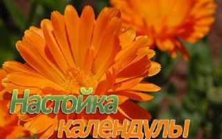 Настойка календулы–лечебные свойства и инструкция по применению