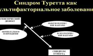 Признаки синдрома Туретта у детей и взрослых