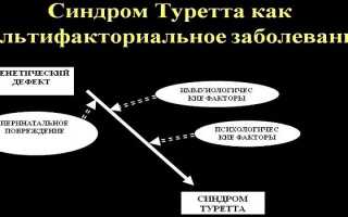 Признаки синдрома Туретта у детей и взрослых