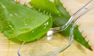 Атонический запор у детей и взрослых — причины и симптомы, диагностика, методы терапии, диета и профилактика