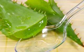 Атонический запор у детей и взрослых — причины и симптомы, диагностика, методы терапии, диета и профилактика