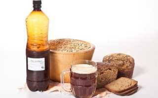 Квас при беременности – все за и против