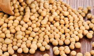 Фитоэстрогены — полезные свойства гормона, в каких продуктах, кремах, препаратах и травах содержится