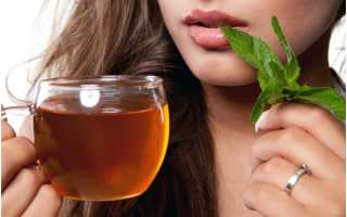 Мята при беременности: показания, противопоказания, частота употребления