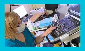 Почему нет желтого тела на УЗИ: причины и рекомендации