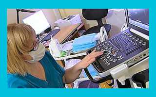 Почему нет желтого тела на УЗИ: причины и рекомендации