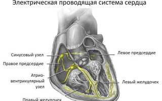 Пропанорм: инструкция по применению