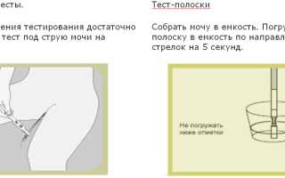 Может ли тест на овуляцию ошибаться: как получить достоверный результат?