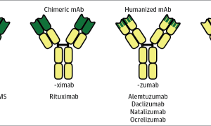 Как вылечить псориаз при помощи моноклональных антител?