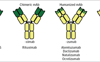 Как вылечить псориаз при помощи моноклональных антител?
